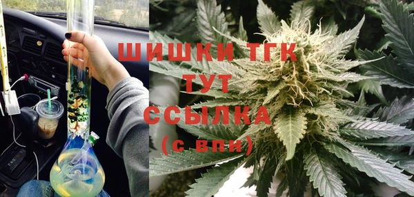 индика Абинск