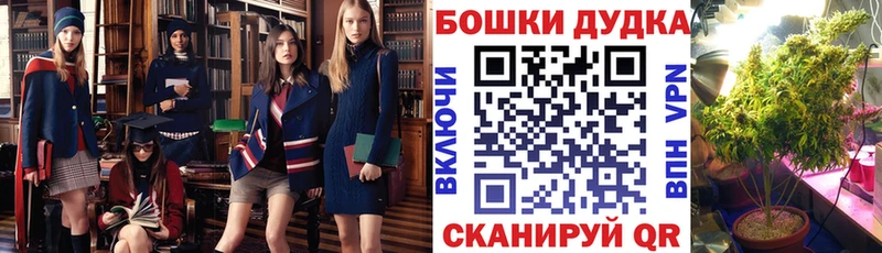 сколько стоит  MEGA маркетплейс  Канабис сатива  Донской 